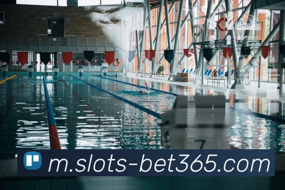 App Interface Preview